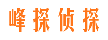 岭东调查取证